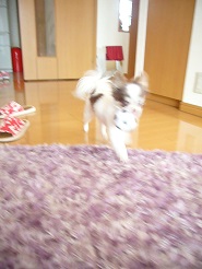 2013060404.jpg