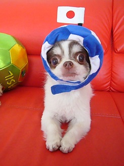 2013060405.jpg