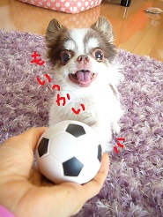 2013060406.jpg
