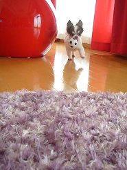 2013060407.jpg
