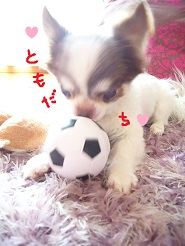 2013060408.jpg