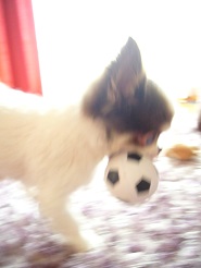2013060409.jpg