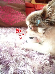 2013060410.jpg