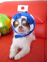 2013060411.jpg