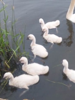 2013060502.jpg