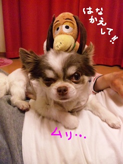 2013060601.jpg