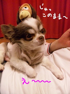 2013060602.jpg