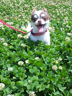 2013060801.jpg