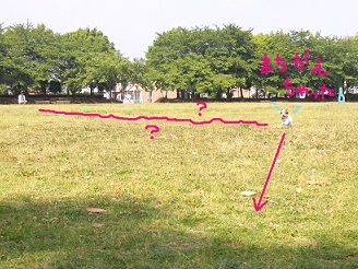 2013060802.jpg