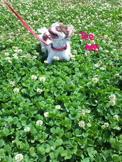 2013060803.jpg