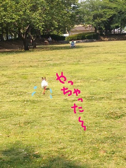 2013060804.jpg