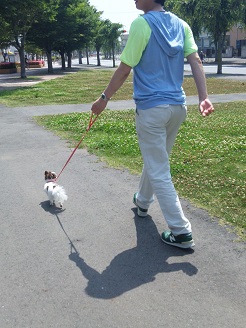2013060805.jpg