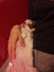 2013061201.jpg