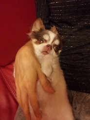 2013061202.jpg