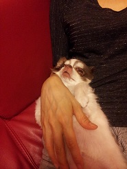 2013061204.jpg