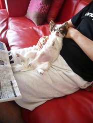 2013061205.jpg