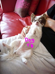 2013061206.jpg