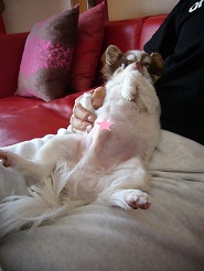 2013061207.jpg