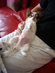 2013061208.jpg