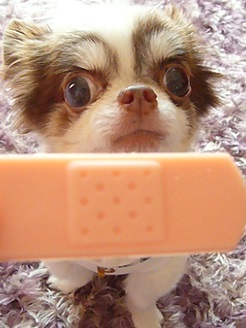2013061401.jpg