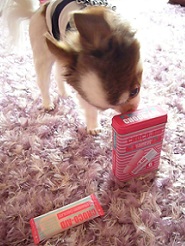 2013061402.jpg