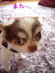 2013061403.jpg
