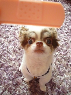2013061404.jpg
