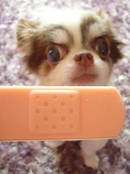 2013061406.jpg