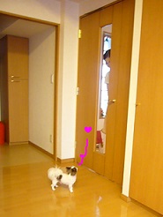2013061807.jpg