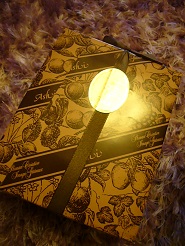 2013061808.jpg