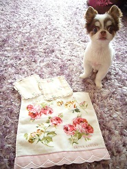 2013061816.jpg