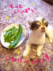 2013061820.jpg
