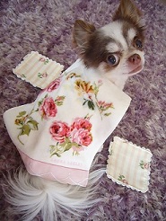 2013061821.jpg