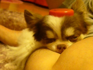 2013062001.jpg