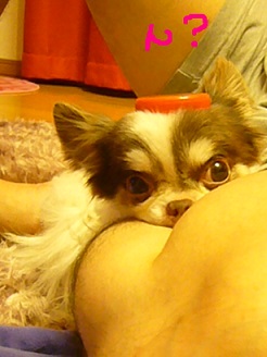 2013062002.jpg