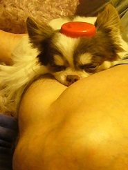 2013062003.jpg