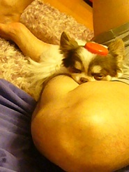 2013062004.jpg