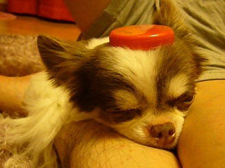 2013062007.jpg