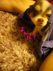 2013062008.jpg