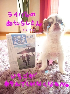 2013062705.jpg
