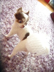 2013070501.jpg