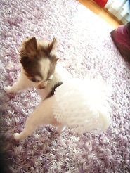 2013070502.jpg