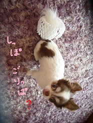 2013070503.jpg