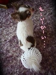 2013070504.jpg