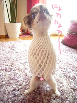 2013070505.jpg