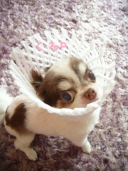 2013070506.jpg