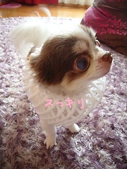 2013070507.jpg