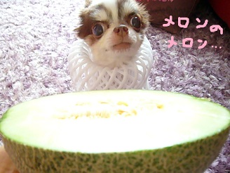 2013070510.jpg