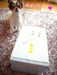2013070602.jpg