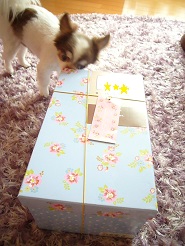 2013070603.jpg